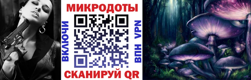 Галлюциногенные грибы Cubensis  Купить закладки  Курганинск 